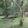 Camping ground at Hornbill Lodge