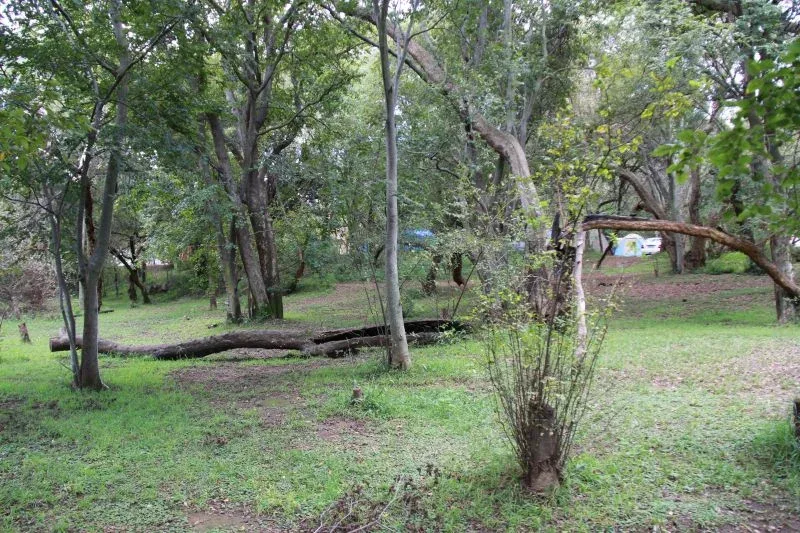 Camping ground at Hornbill Lodge