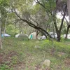 Hornbill Lodge Camping Grounds Grouped Tents