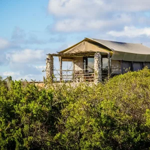 Glamping Tents at Thali Thali