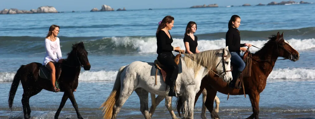 Paternoster Horse Trails on the Beach