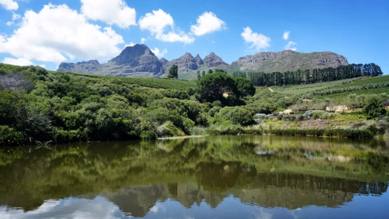 Western Cape Franschhoek