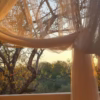 African Flair Boutique Safari Lodge