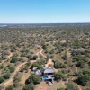31 Bushwillow